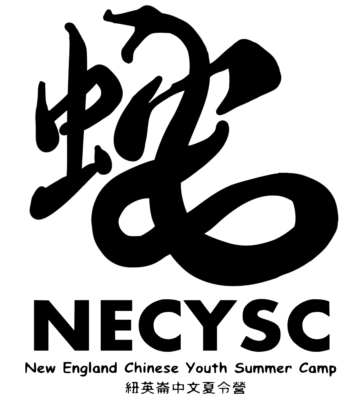 NECYSC Times 2025